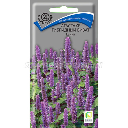  Агастахе гибридный Виват синий 10шт цв Поиск
