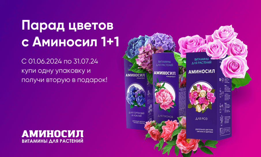 Акция «Парад цветов с АМИНОСИЛ 1+1»