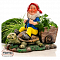 Фигура Гном с черепахой F08837